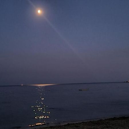Le Tamaya Plage Charmant T2 En Rez De Jardin A 2 Pas D Une Belle Plage De Toutes Commodites Et Centre Ville Port Cavalaire-sur-Mer Kültér fotó